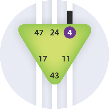 Ворота Формулизации