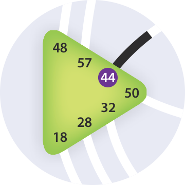 Ворота Бдительности