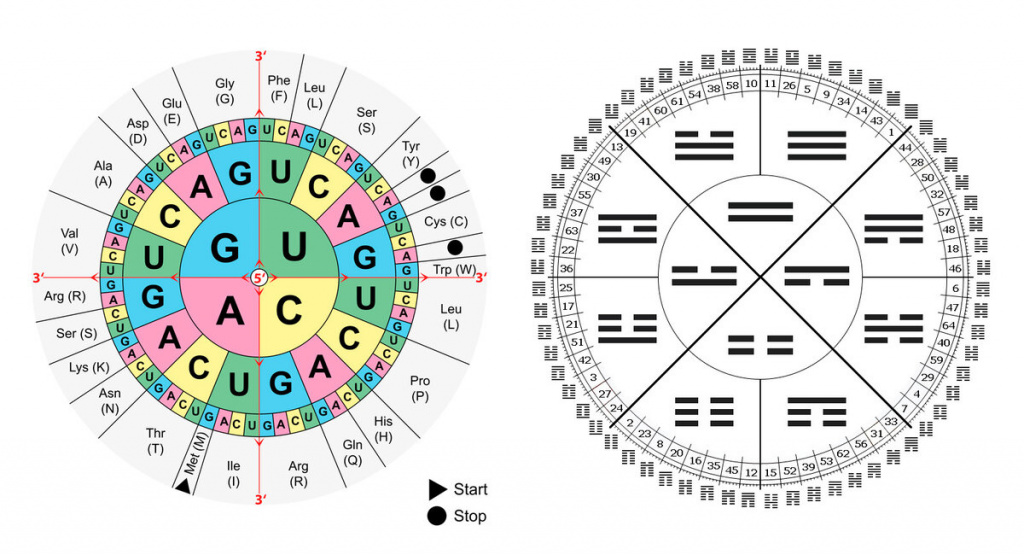 Круговые формы записи Генетического кода и Гексаграмм И-Цзин